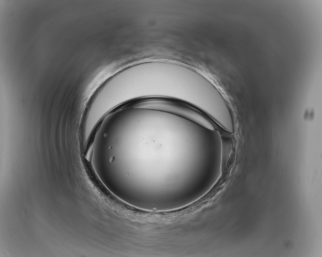 X0000090610007200707241116