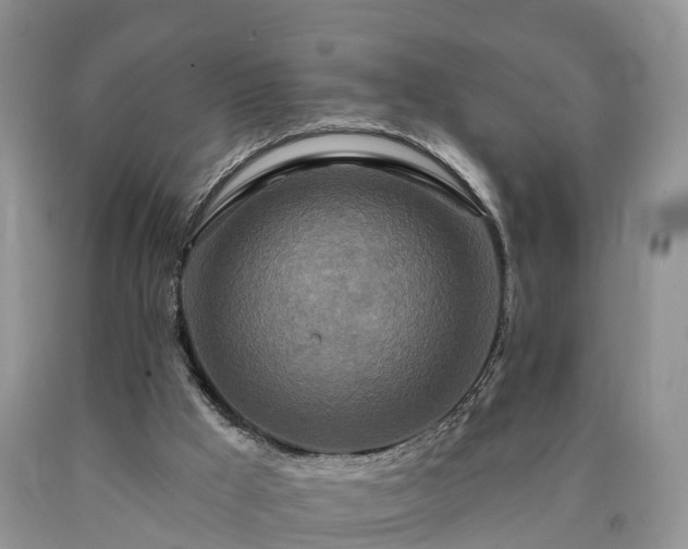 X0000090610009200707241116