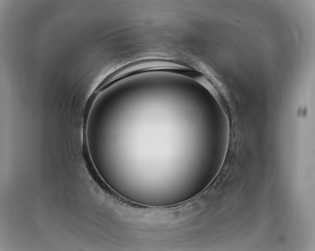 X0000090610011200707241116