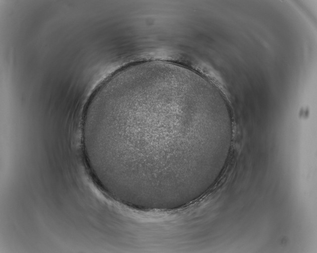 X0000090610012200707241116