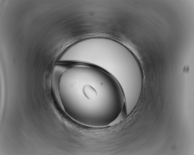 X0000090610013200707241116