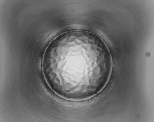 X0000090610014200707241116