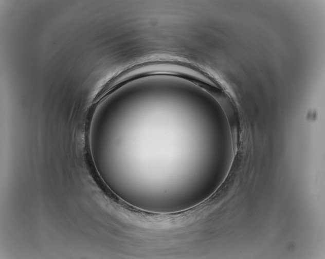 X0000090610015200707241116