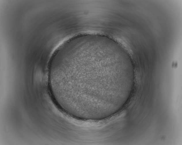 X0000090610016200707241116