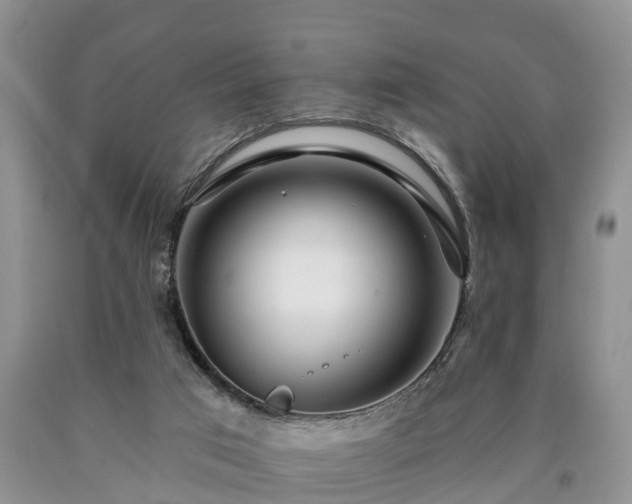 X0000090610017200707241116