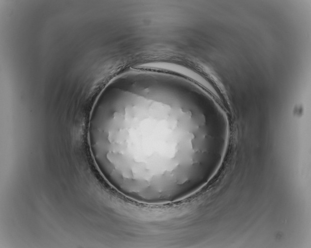 X0000090610018200707241116