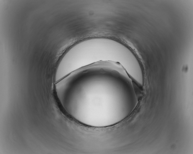 X0000090610019200707241116