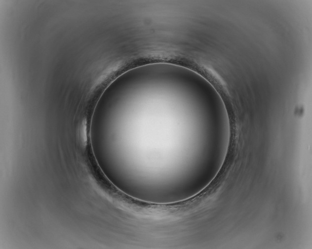 X0000090610020200707241116