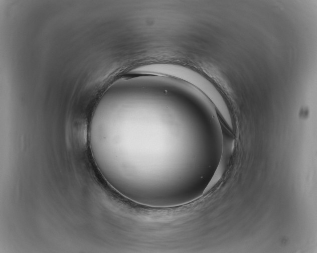 X0000090610021200707241116