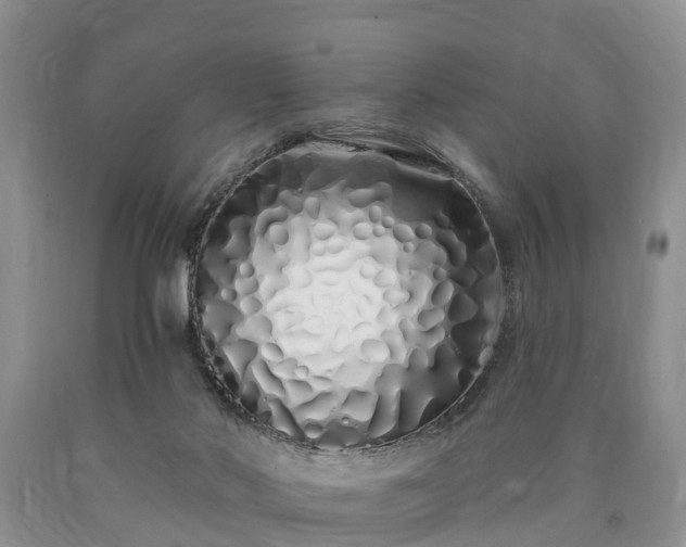 X0000090610022200707241116