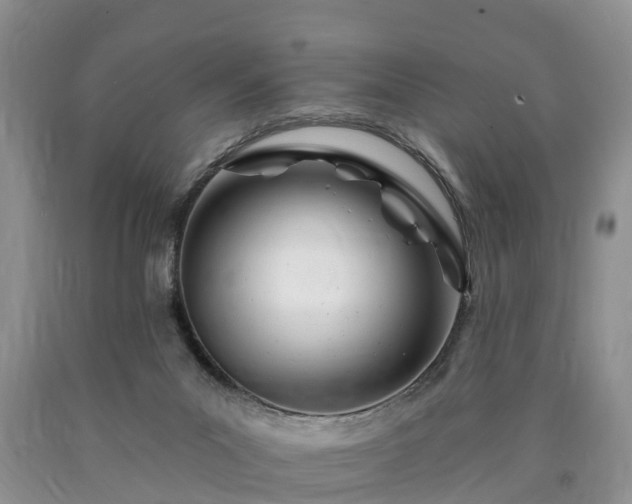 X0000090610023200707241116