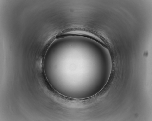 X0000090610024200707241116