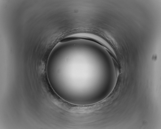 X0000090610025200707241116