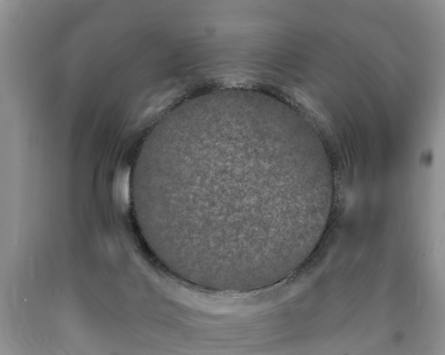 X0000090610028200707241116