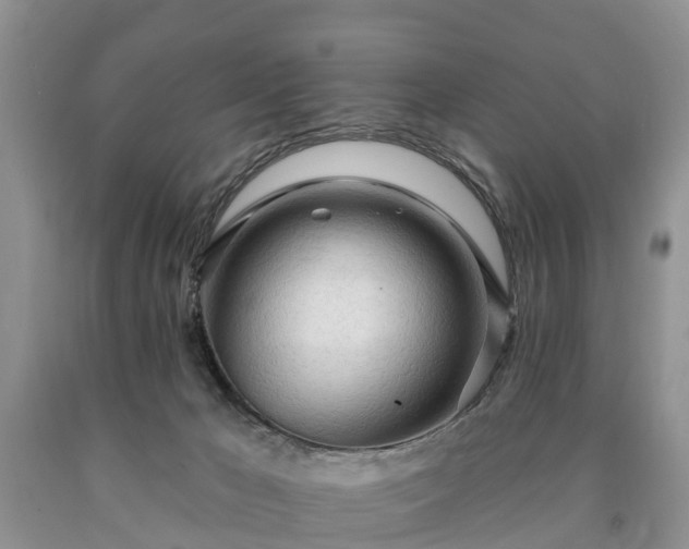 X0000090610029200707241116