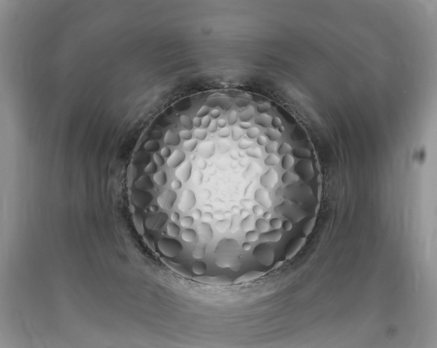 X0000090610030200707241116