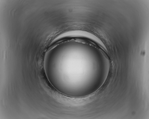 X0000090610031200707241116