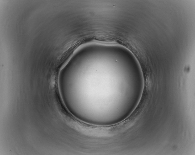 X0000090610032200707241116