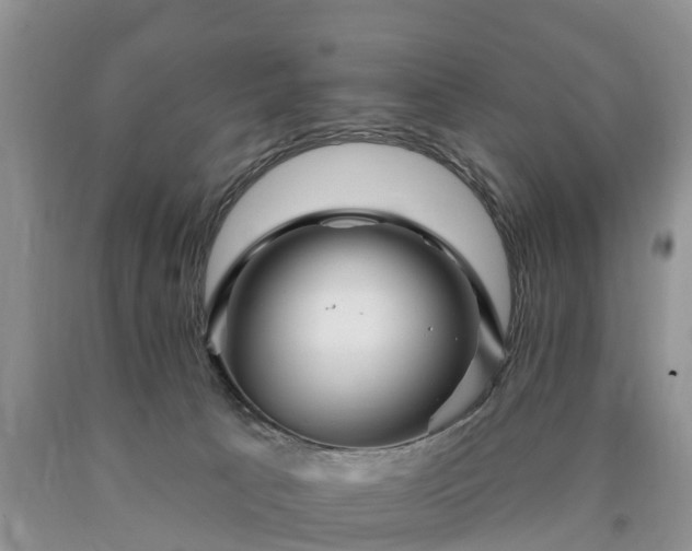 X0000090610033200707241116