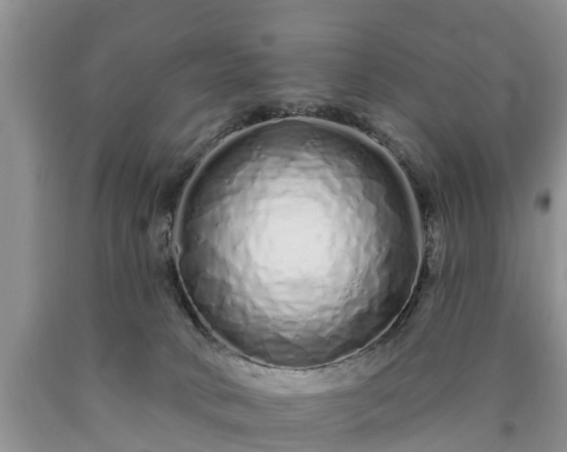 X0000090610034200707241116