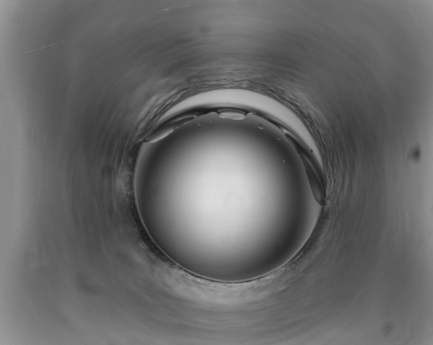 X0000090610035200707241116