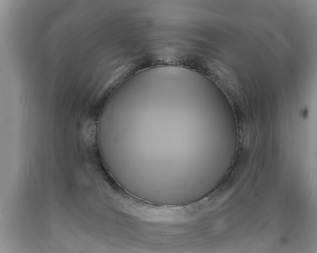 X0000090610036200707241116