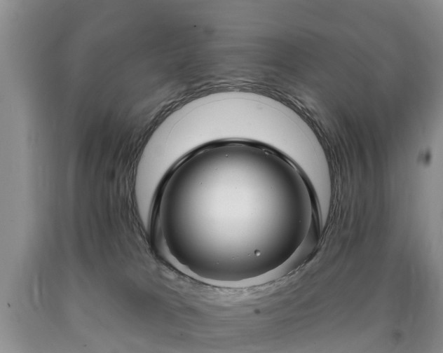 X0000090610037200707241116