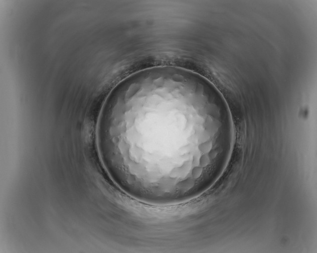 X0000090610038200707241116