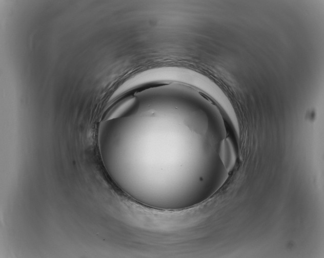 X0000090610039200707241116