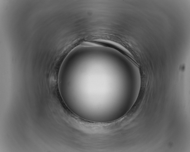 X0000090610040200707241116