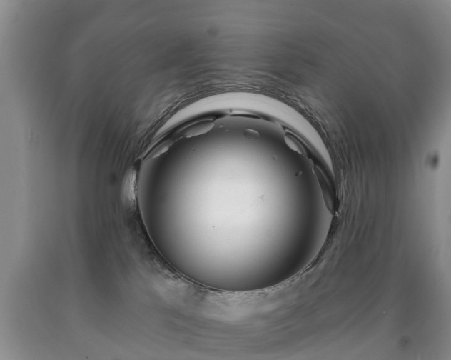 X0000090610041200707241116