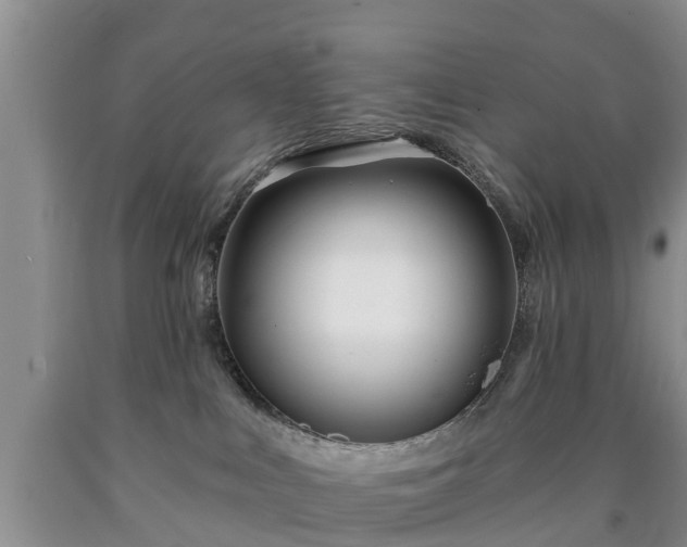 X0000090610043200707241116