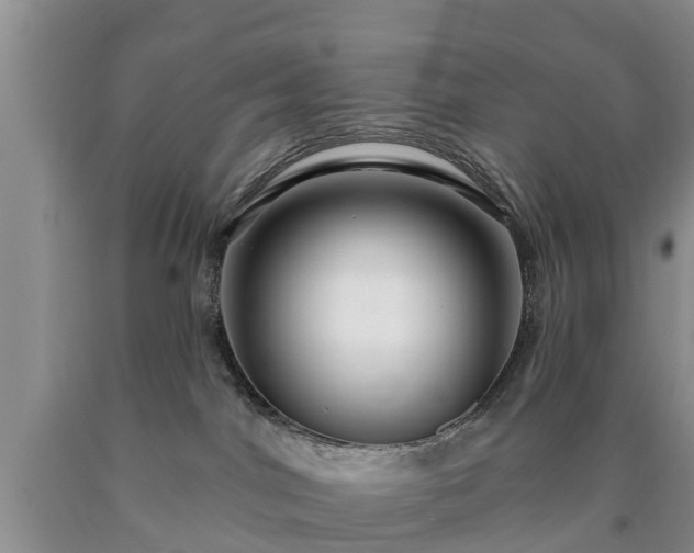 X0000090610044200707241116