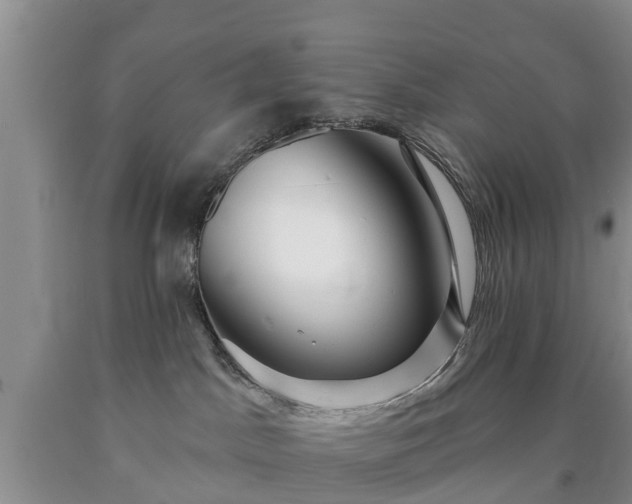 X0000090610045200707241116