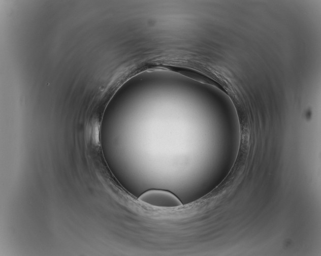 X0000090610046200707241116