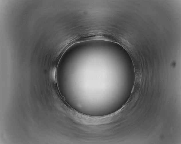 X0000090610047200707241116