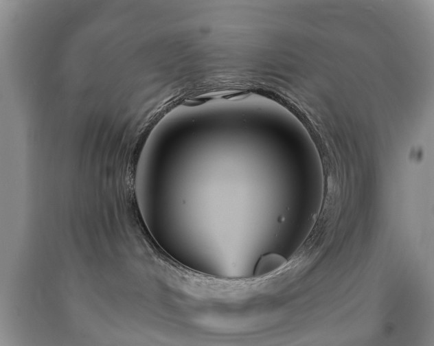 X0000090610048200707241116