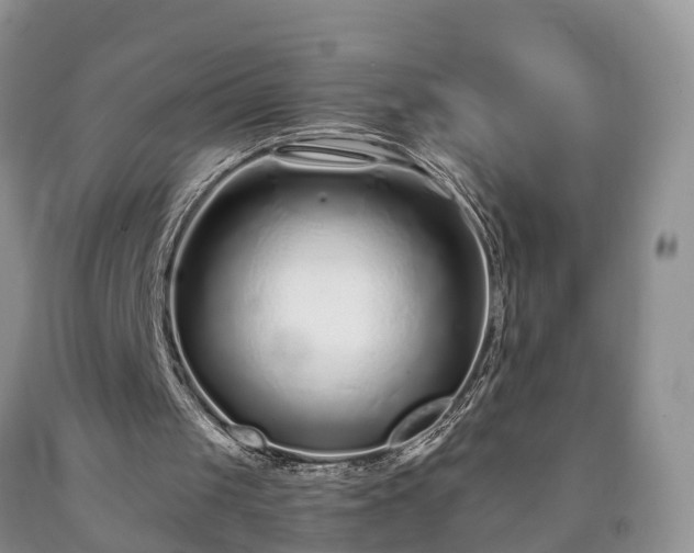 X0000090610049200707241115