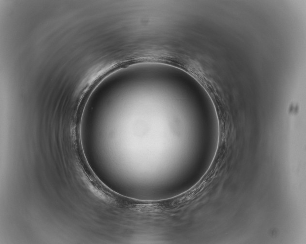 X0000090610050200707241115