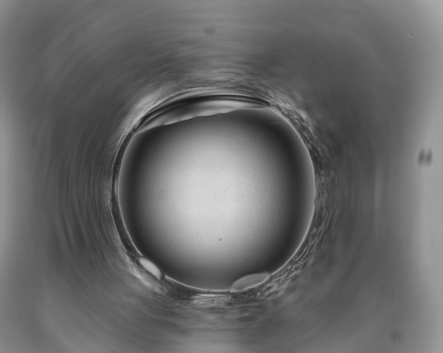 X0000090610051200707241115