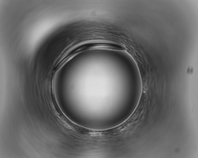 X0000090610052200707241115