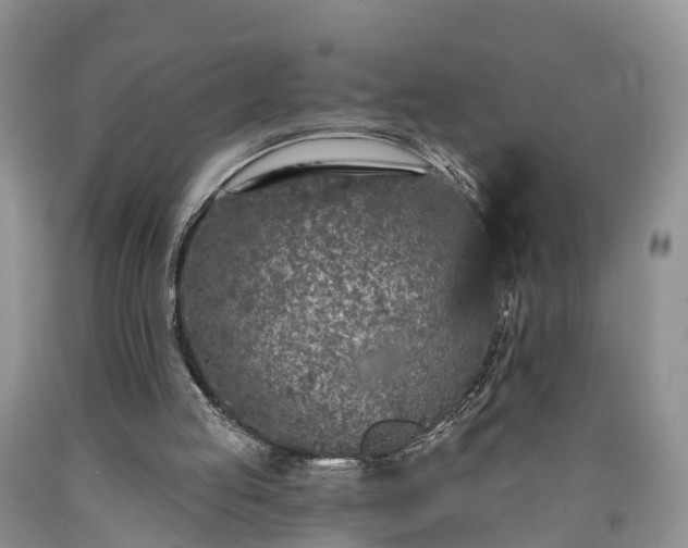 X0000090610053200707241115