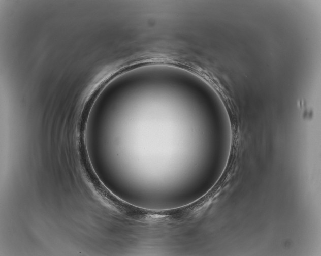 X0000090610055200707241115