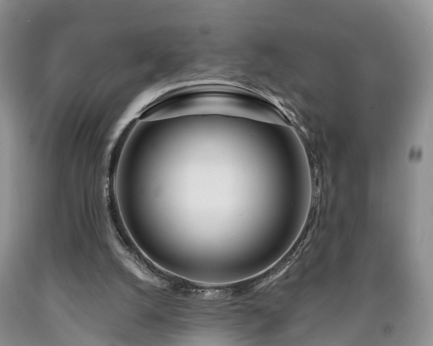 X0000090610056200707241115