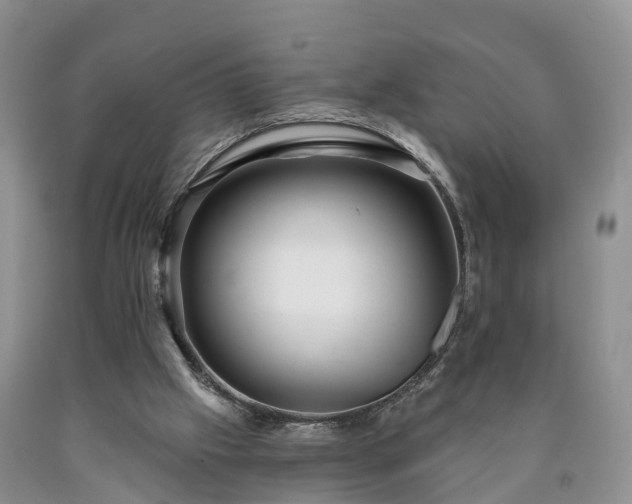 X0000090610057200707241115