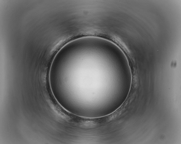 X0000090610058200707241115