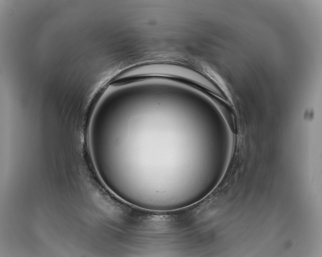 X0000090610059200707241115