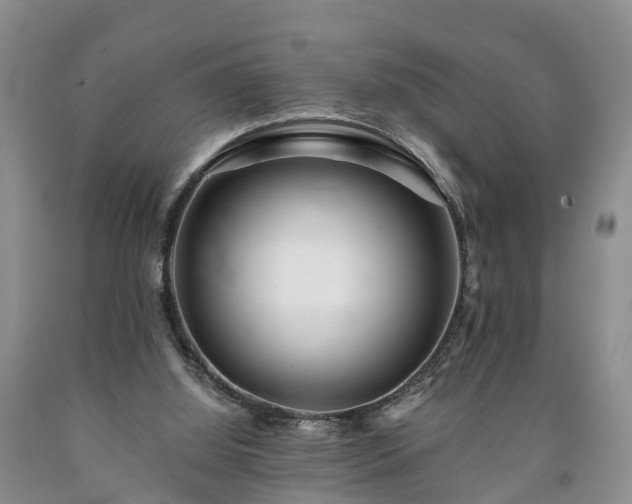 X0000090610060200707241115