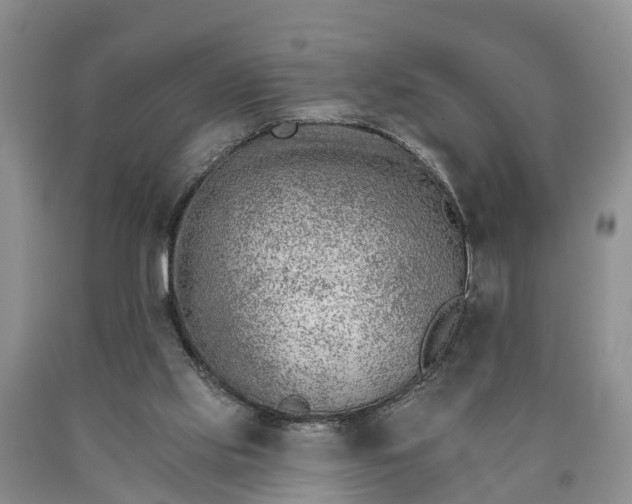 X0000090610061200707241115