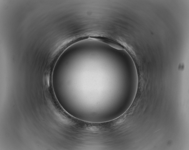 X0000090610062200707241115